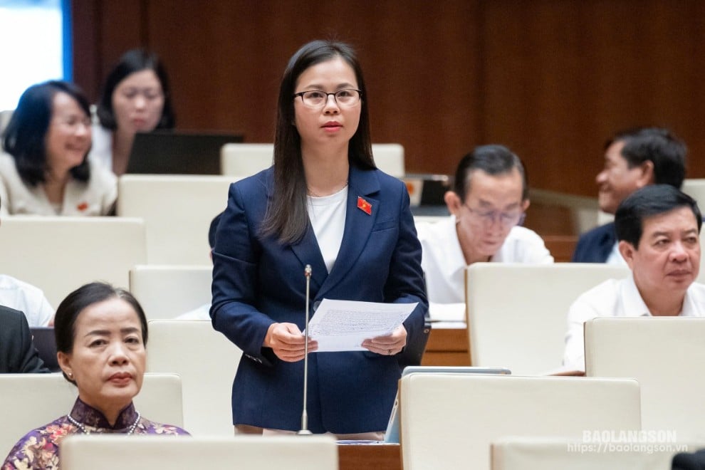 Đại biểu Chu Thị Hồng Thái, Đoàn ĐBQH tỉnh phát biểu ý kiến thảo luận tại hội trường