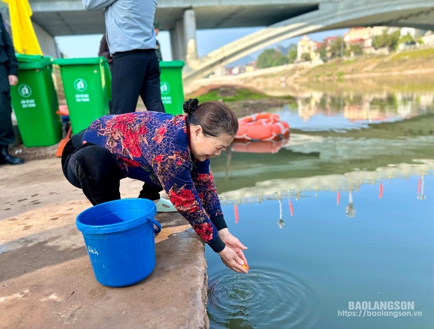 Người dân thành phố Lạng Sơn thả cá phóng sinh tại bờ sông Kỳ Cùng