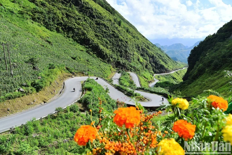 Dốc Thẩm Mã (Hà Giang) nằm ngay trên Quốc lộ 4C, nối giữa thành phố Hà Giang và huyện Mèo Vạc, là một trong những cung đường đèo đẹp và thách thức nhất tại Hà Giang, cuốn hút say mê mọi du khách. (Ảnh: THỦY NGUYÊN)