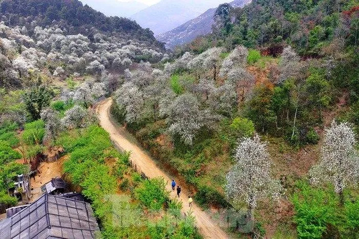 Ngắm mây trên đỉnh Lùng Cúng - một trong những đỉnh núi cao nhất Việt Nam ảnh 5