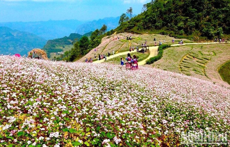 Đón tết Độc Lập cùng người Mông ở thượng nguồn sông Chảy ảnh 2