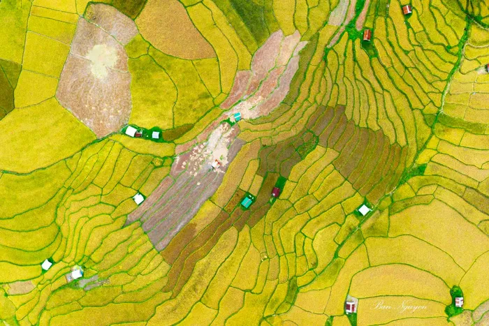 Ngắm những thửa ruộng bậc thang đẹp qua đề cử ''Top 7 Ấn tượng Việt Nam 2023'' ảnh 5