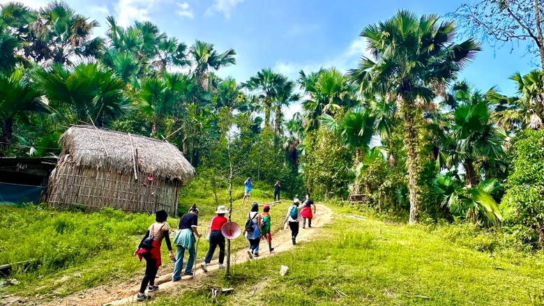 Đoàn khảo sát trekking tuyến đường dài 10km qua khu rừng già nối xã Phương Độ (thành phố Hà Giang) với xã Phương Tiến (huyện Vị Xuyên). ảnh 4