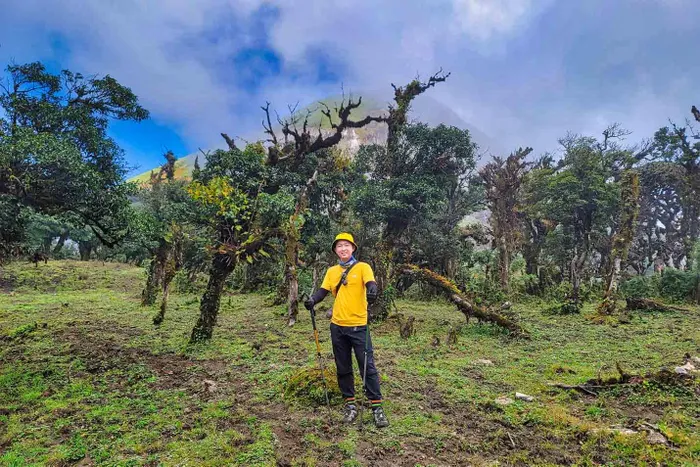 Gợi ý hành trình vượt 30km chinh phục đỉnh Ky Quan San ảnh 14