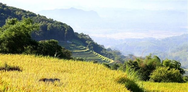 Ruộng bậc thang Miền Đồi: Ẩn số chưa khai phá của du lịch Hòa Bình ảnh 2