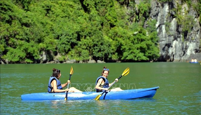 Cân bằng, hài hòa để phát triển bền vững "kinh tế không khói" ảnh 1