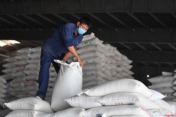 Giá gạo Việt xuất khẩu đắt nhất thế giới, vừa mừng vừa lo ảnh 1