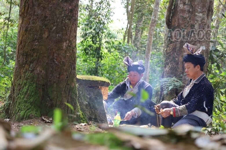 Chọn gốc cây to nhất trong khu rừng để làm lễ cúng..jpg