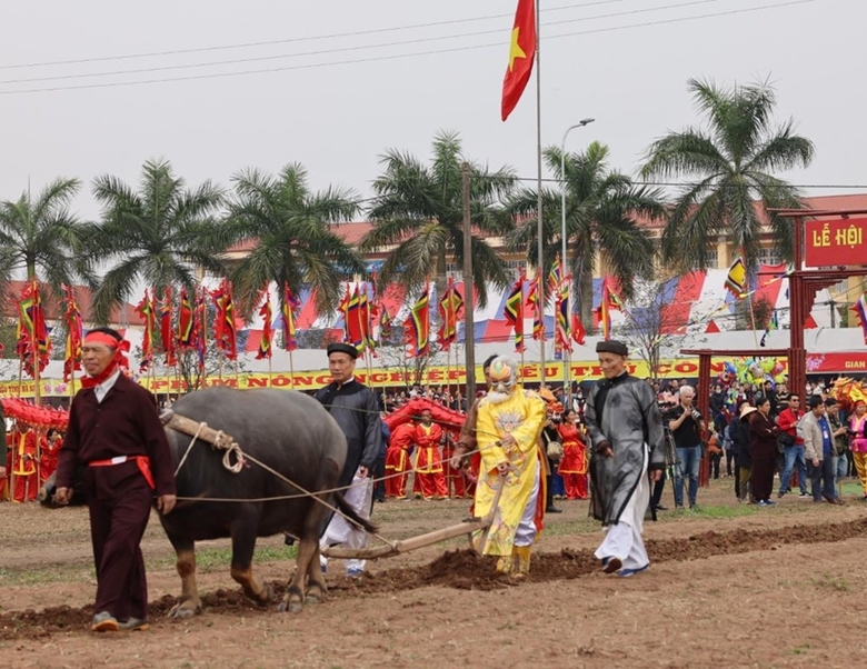 Lão nông tái hiện cảnh Vua Lê Đại Hành thực hiện nghi thức cày ruộng.