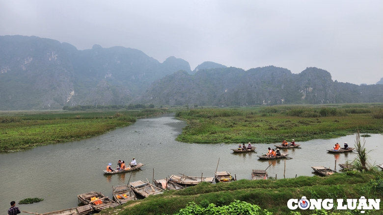 Đầm Vân Long có hệ sinh thái độc đáo bao gồm đất ngập nước và rừng trên núi đá vôi, tạo nên nguồn sống cho hàng ngàn loài động và thực vật đa dạng.