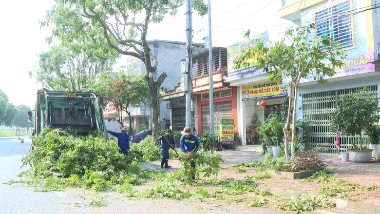 chặt cây xanh.jpg