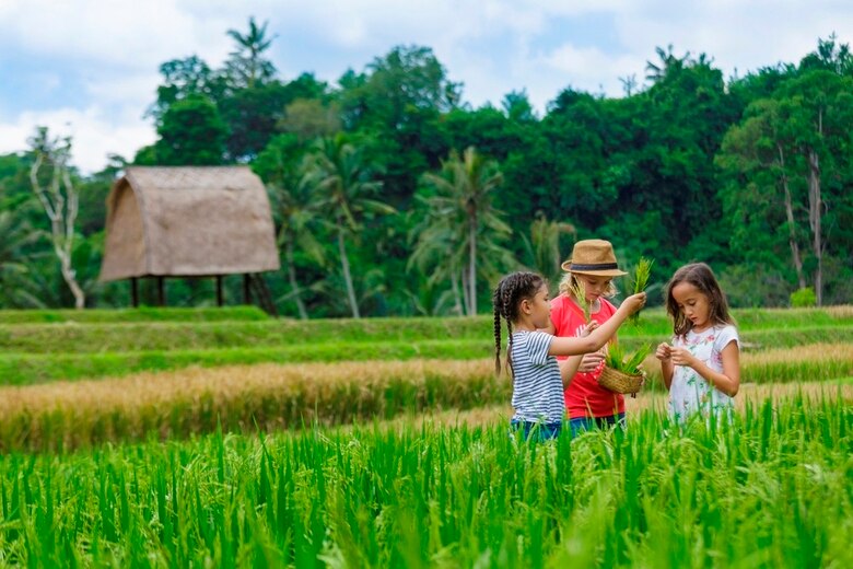 Du khách nhí thích thú khám phá và trải nghiệm thiên nhiên Việt Nam.