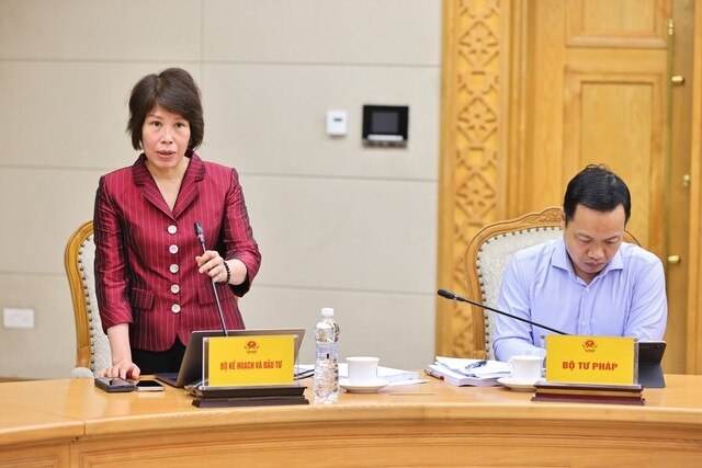 Thứ trưởng Bộ KH&amp;ĐT Nguyễn Thị Bích Ngọc phát biểu tại cuộc họp - Ảnh: VGP/Nguyễn Hoàng