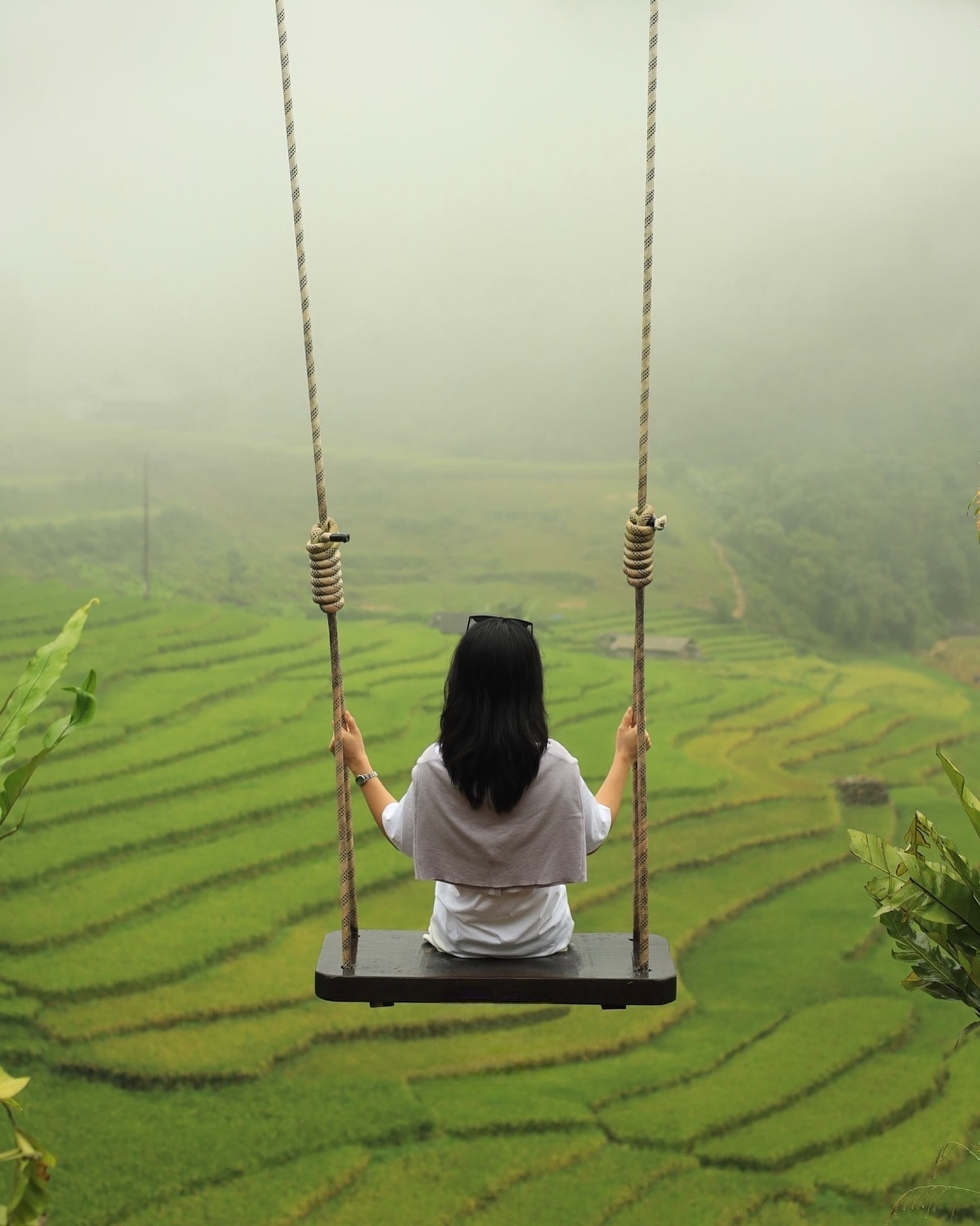 En arrivant à Ta Van, une touriste de Hanoi a été impressionnée par le paysage naturel majestueux et poétique de l'endroit. La scène sous nos yeux est une vaste étendue de champs verts en terrasses, avec la couleur dorée des rizières mûres qui se profile.