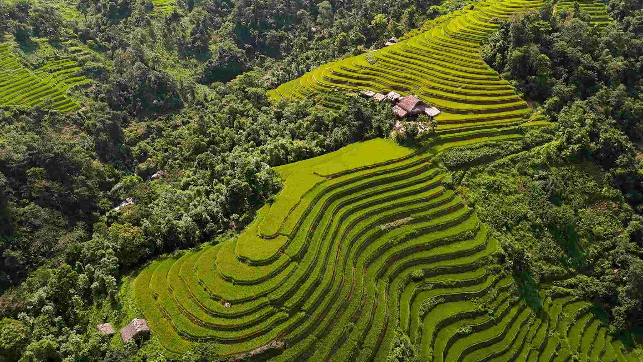 Theo Hoàng Văn Huy (Hoàng Diệu Đế), hiện làm tour du lịch Hà Giang - Cao Bằng, thời tiết Hà Giang đang đẹp trời và nhiều nơi vào mùa lúa chín. Một số điểm Huy gợi ý du khách khi đến tỉnh Đông Bắc này là thôn Nà Mầu và thôn Xà Phìn, xã Phương Tiến, huyện Vị Xuyên chỉ cách thành phố Hà Giang vài chục phút đi đường. Ảnh: Hoàng Diệu Đế