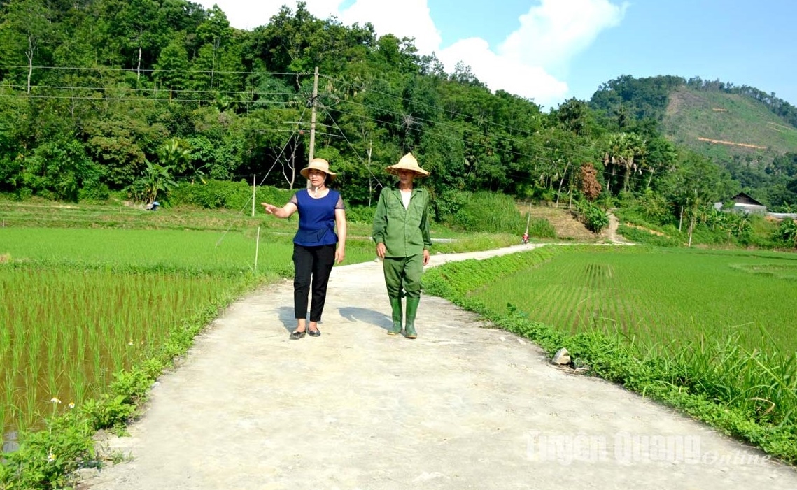 Nhiều diện tích đất canh tác được bố trí để thi công các công trình phục vụ sản xuất, sinh hoạt. (Trong ảnh: Tuyến đường nội đồng Nà Bó Phẻn, thuộc thôn Nà kham, xã Năng Khả, huyện Na Hang, tỉnh Tuyên Quang)