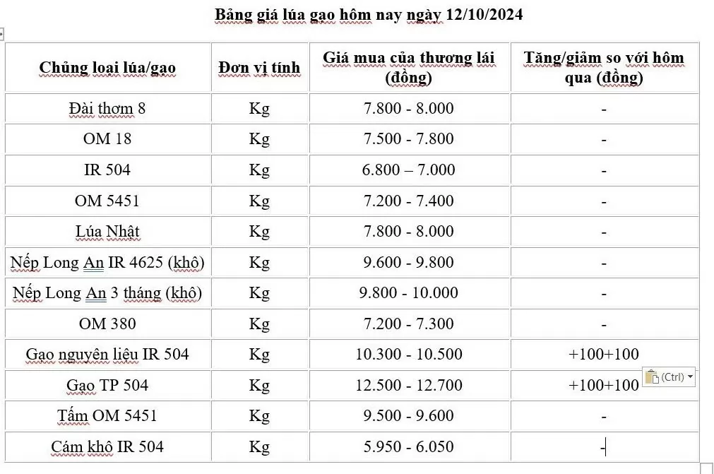 Giá lúa gạo hôm nay 12/10/2024: Giá lúa tiếp tục trầm lắng, giá tạo tăng đáng kể