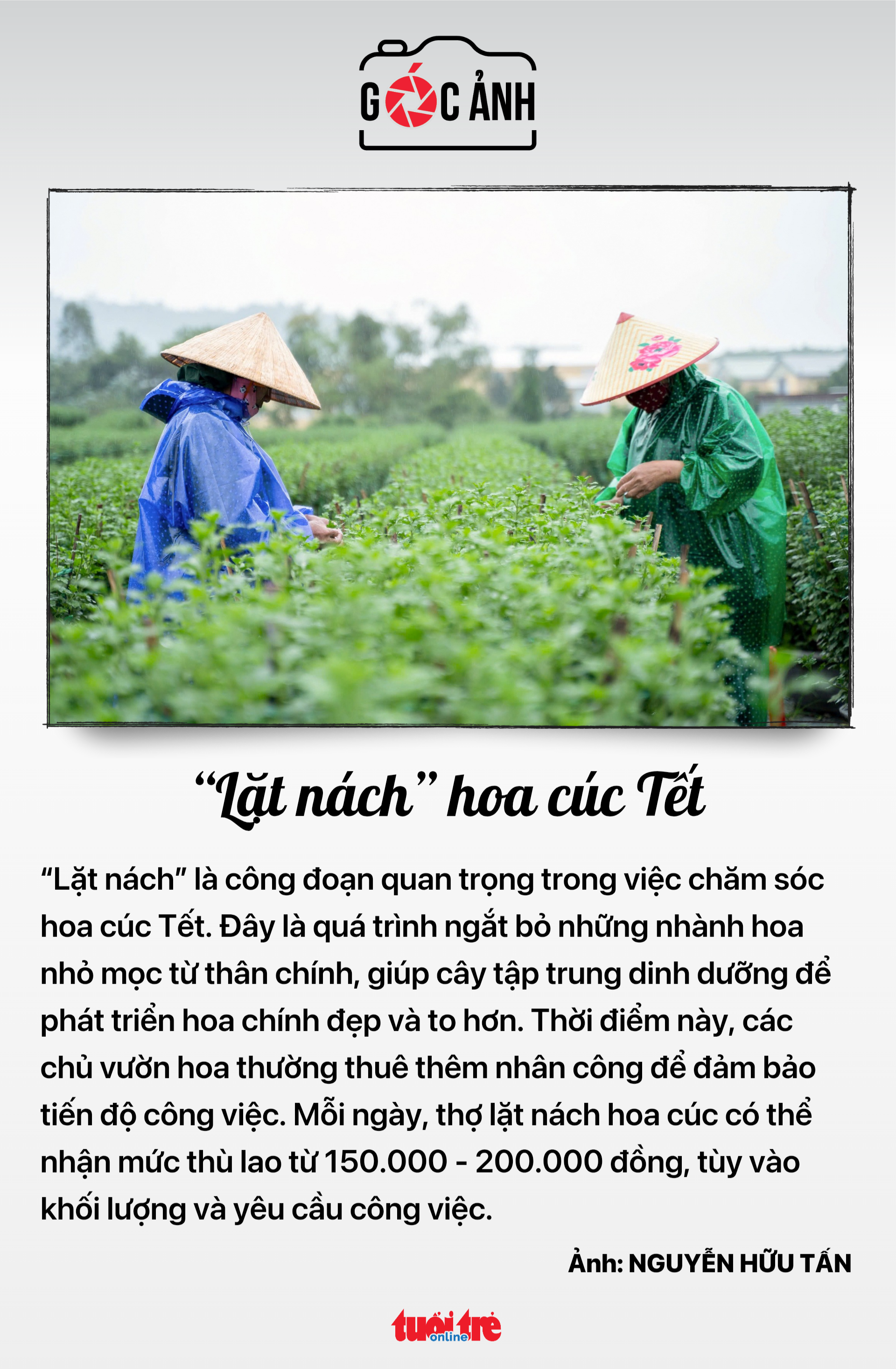 Tin tức sáng 12-1: Bộ Tài chính nghiêm cấm biếu, tặng quà Tết cho lãnh đạo dưới mọi hình thức - Ảnh 5.