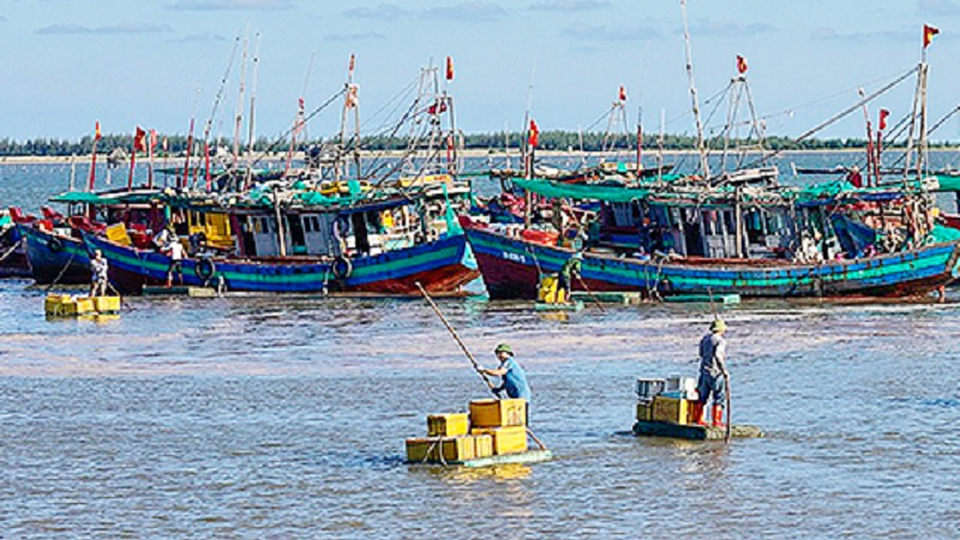 Nam Định với lợi thế bờ biển dài 72km để phát triển kinh tế biển

