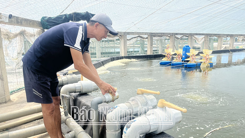 Người nuôi thuỷ sản ở xã Hải Triều (Hải Hậu) thường xuyên kiểm tra, gia cố hệ thống trang thiết bị phục vụ nuôi thuỷ sản nhằm hạn chế thấp nhất thiệt hại khi có mưa, bão xảy ra.