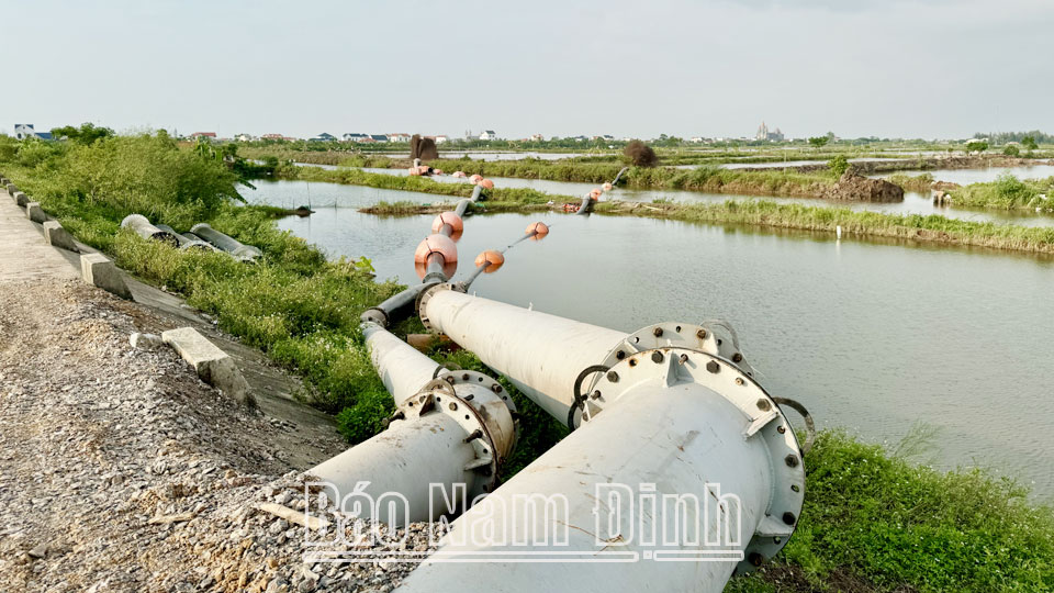 Tập đoàn Xuân Thiện phấn đấu khoảng 72 ngày sẽ hoàn thành san lấp 28ha mặt bằng được chính quyền bàn giao.