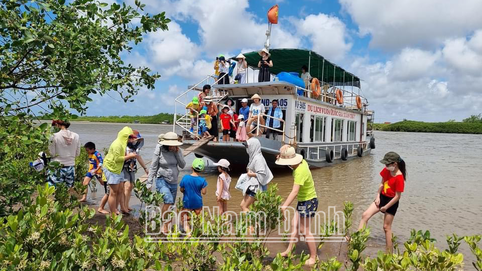 Du khách tham quan, trải nghiệm du lịch sinh thái tại Vườn quốc gia Xuân Thủy (Giao Thủy).