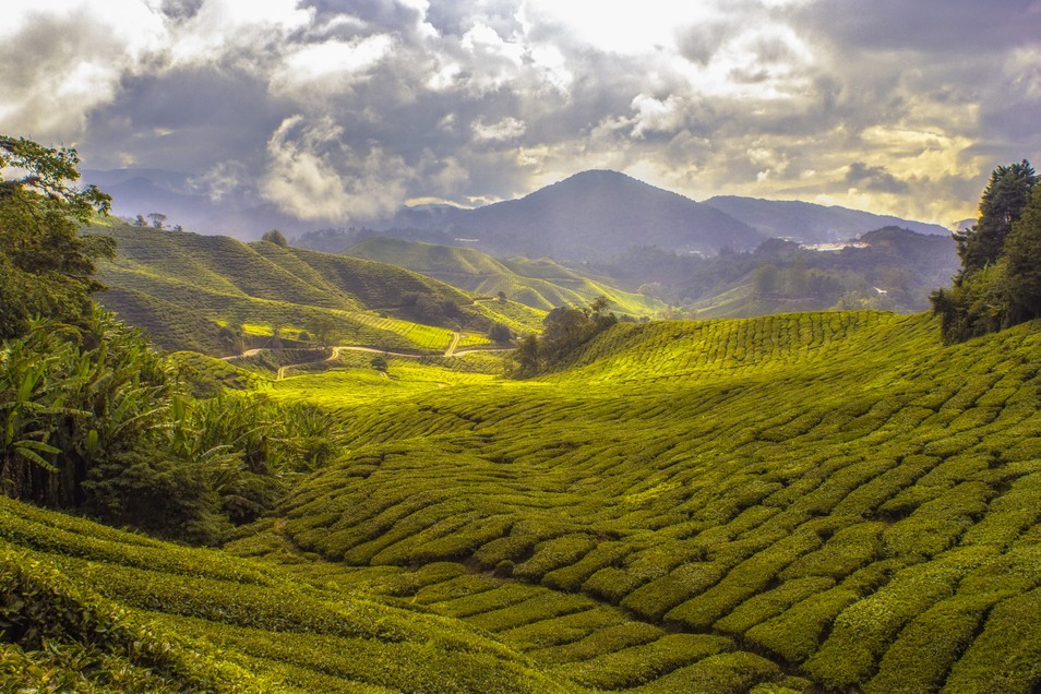 Loạt điểm check-in nổi tiếng tại Malaysia 'được lòng' du khách Việt ảnh 10