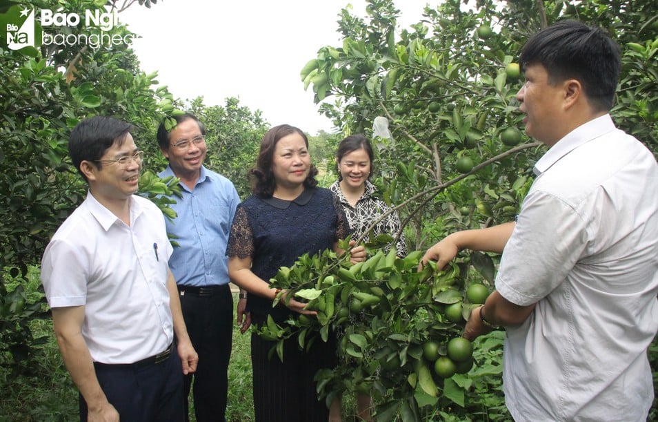 Đẩy mạnh tuyên truyền thực hiện các nhiệm vụ phát triẻn kinh tế - xã hội. Ảnh keiẻm tra viẹc ứng dụng KHCN tại huyện Thanh Chương. Ảnh Mai Hoa (5).JPG