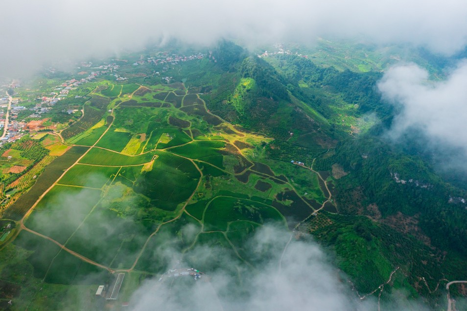 Chiêm ngưỡng khung cảnh thu hoạch chè, săn hoàng hôn đẹp 'tê lòng' ảnh 1