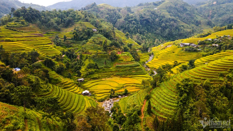 Mùa lúa chín vàng tuyệt đẹp ở nơi không có sự chen chúc ngạt thở ảnh 13