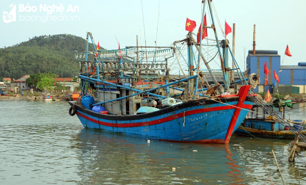 bna_tàu cá về nghỉ trăng tại cảng cá Lạch Quèn.jpg