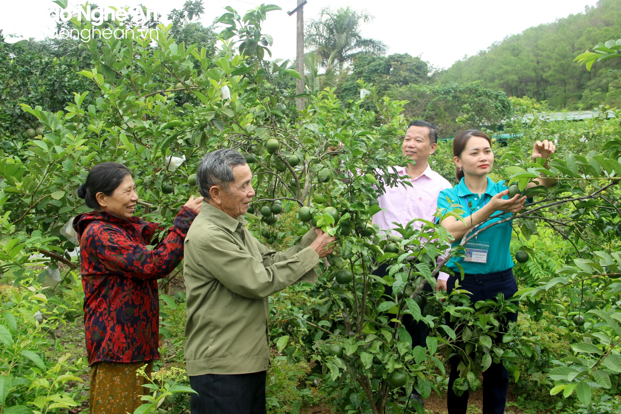 bna_chính. Người dân Nam Giang, nam đàn vay vốn chính sách phát triển kinh tế trang trại ảnh thu huyền.jpeg