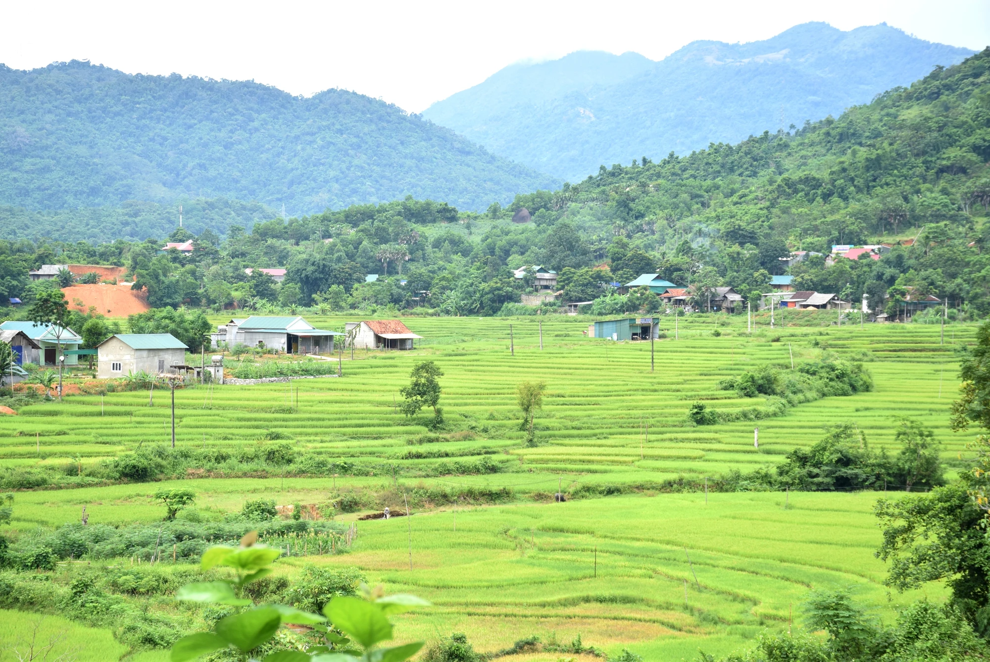 bna_Vùng cao huyện quế Phong đang ngày càng đổi mới. Ảnh Xuân Hoàng.jpg