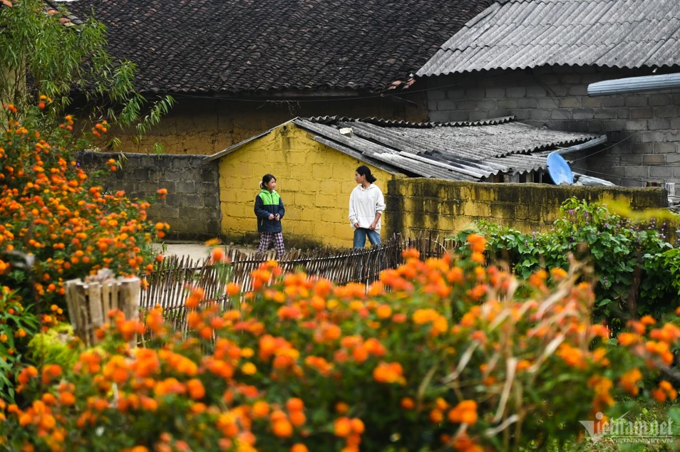 Người Lô Lô Chải phất lên nhờ kinh doanh homestay