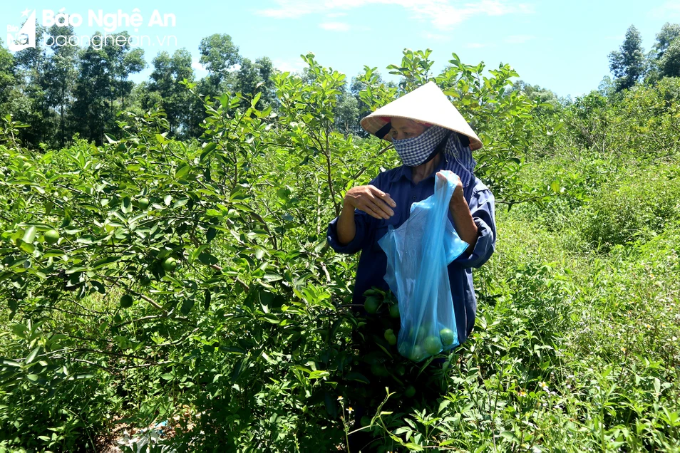 bna_chanh cuối.JPG