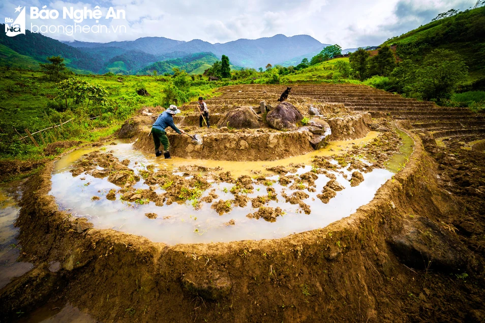 bna_Bà con người Mông be bờ dẫn nước vào ruộng bậc thang.jpg