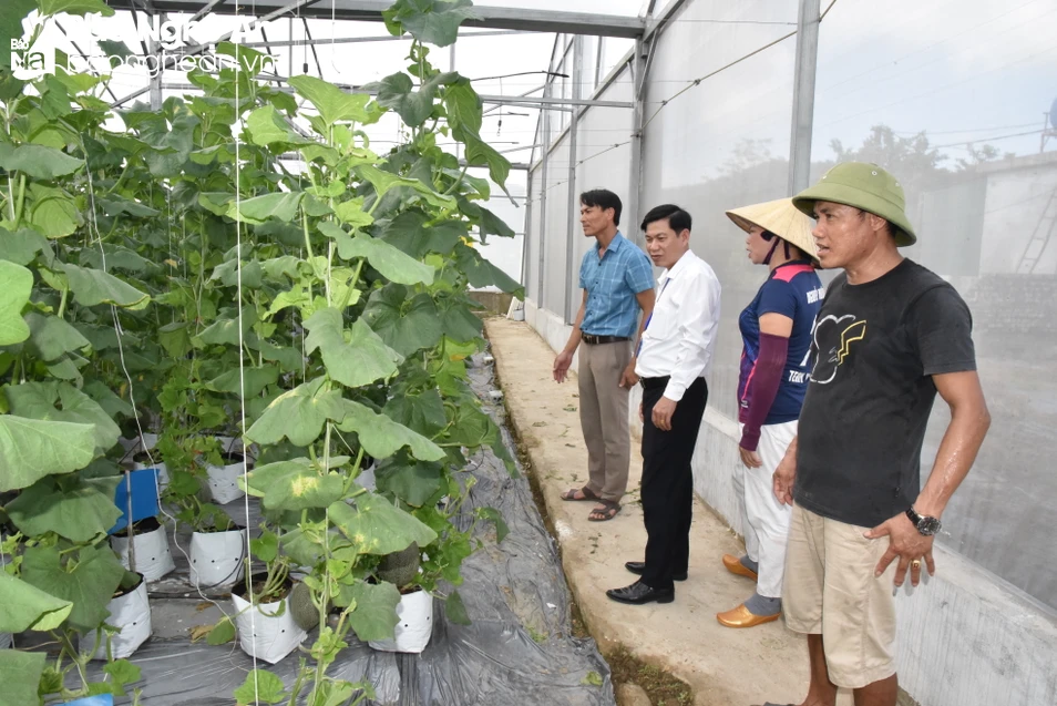 bna_Cán bộ xã Nghi Thiết Nghi Lộc thăm mô hình sản xuất nông gnhiepej công nghệ cao của người dân.JPG