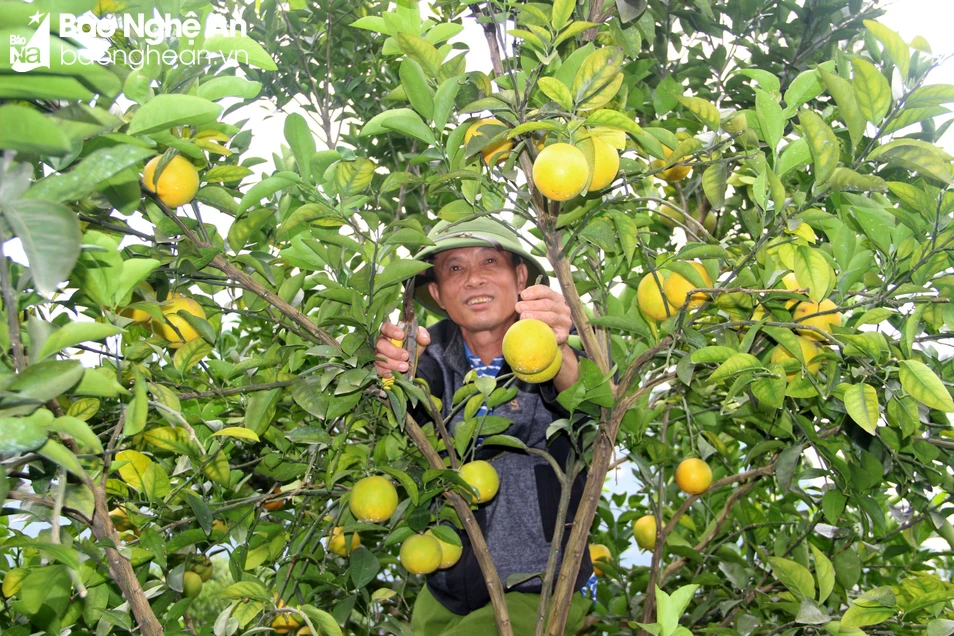 bna_cam đẹp.jpg