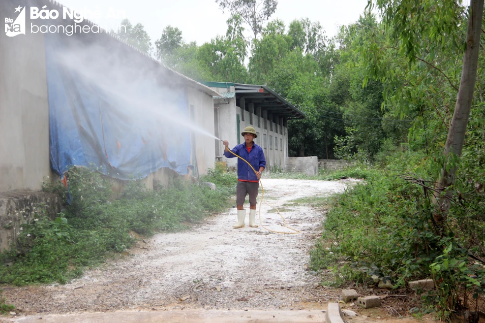 bna-tsrang-trai-anh-vu-van-bien-phuong-quynh-xuan-thi-xa-hoang-mai-su-dung-may-phun-hoa-chat-de-tang-cuong-phun-tieu-doc-khu-trung-chuong-trai-anh-quang-an-4475.jpg