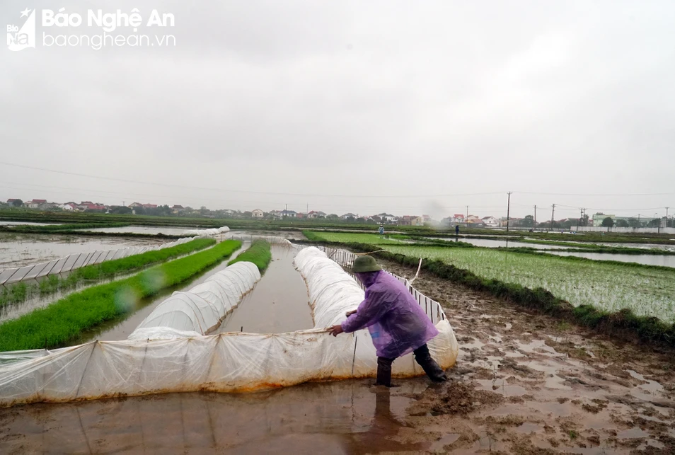 bna-2nd-anh-phu-huong-7705.jpg