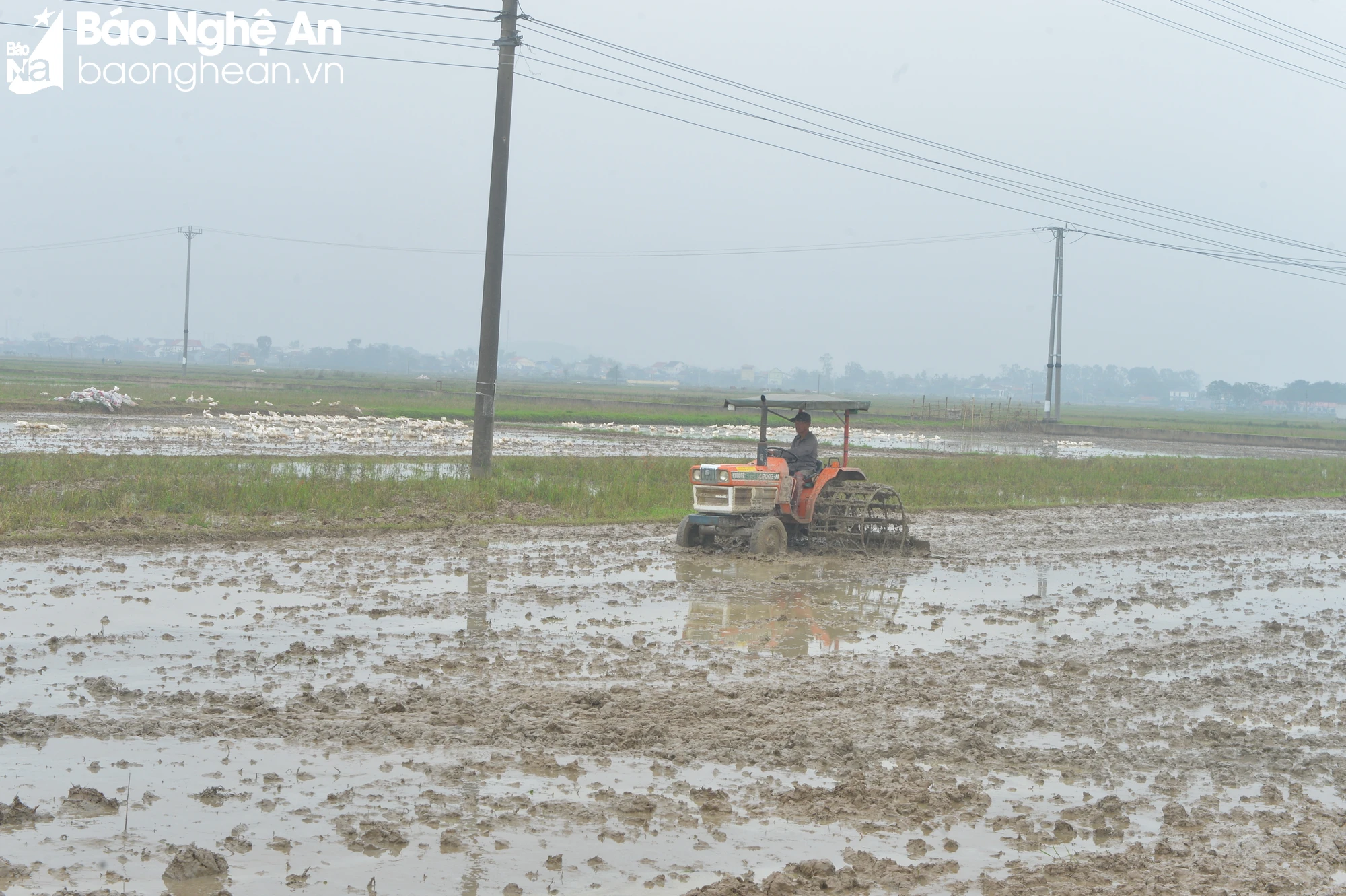 bna-van-truong-3-4091.jpg