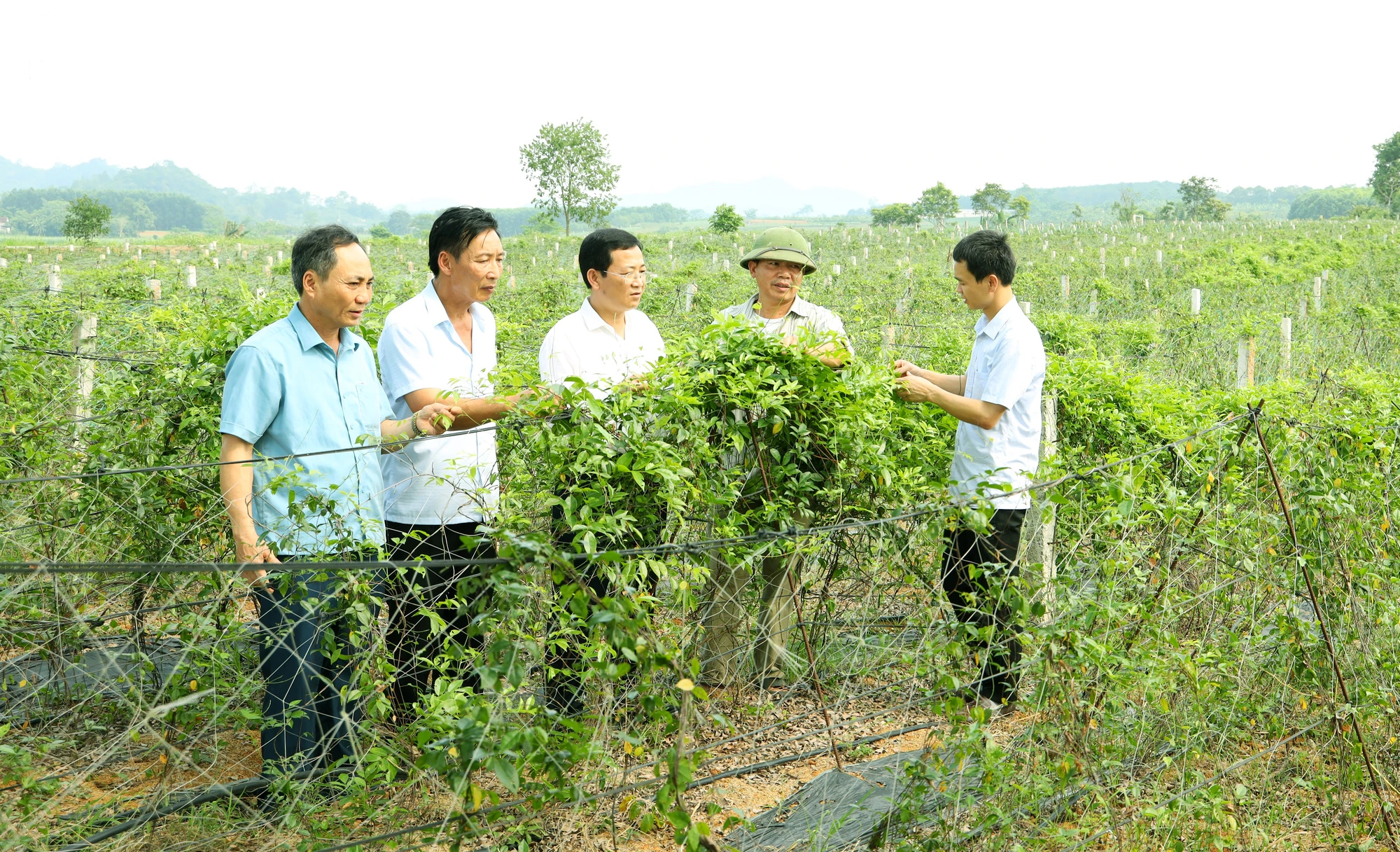 bna-dong-chi-pham-chi-kien-bi-thu-huyen-uy-nghia-dan-giua-tham-mo-hinh-trong-sam-nam-o-xa-nghia-hieu-ns-6677.jpg