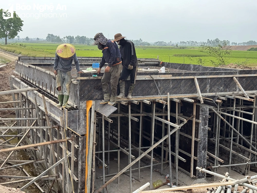 bna_Công nhân thi công một cống ngầm kênh dẫn nước qua cao tốc Bắc Nam Diễn Châu- Bãi Vọt, đoạn qua Diễn Phú.jpeg