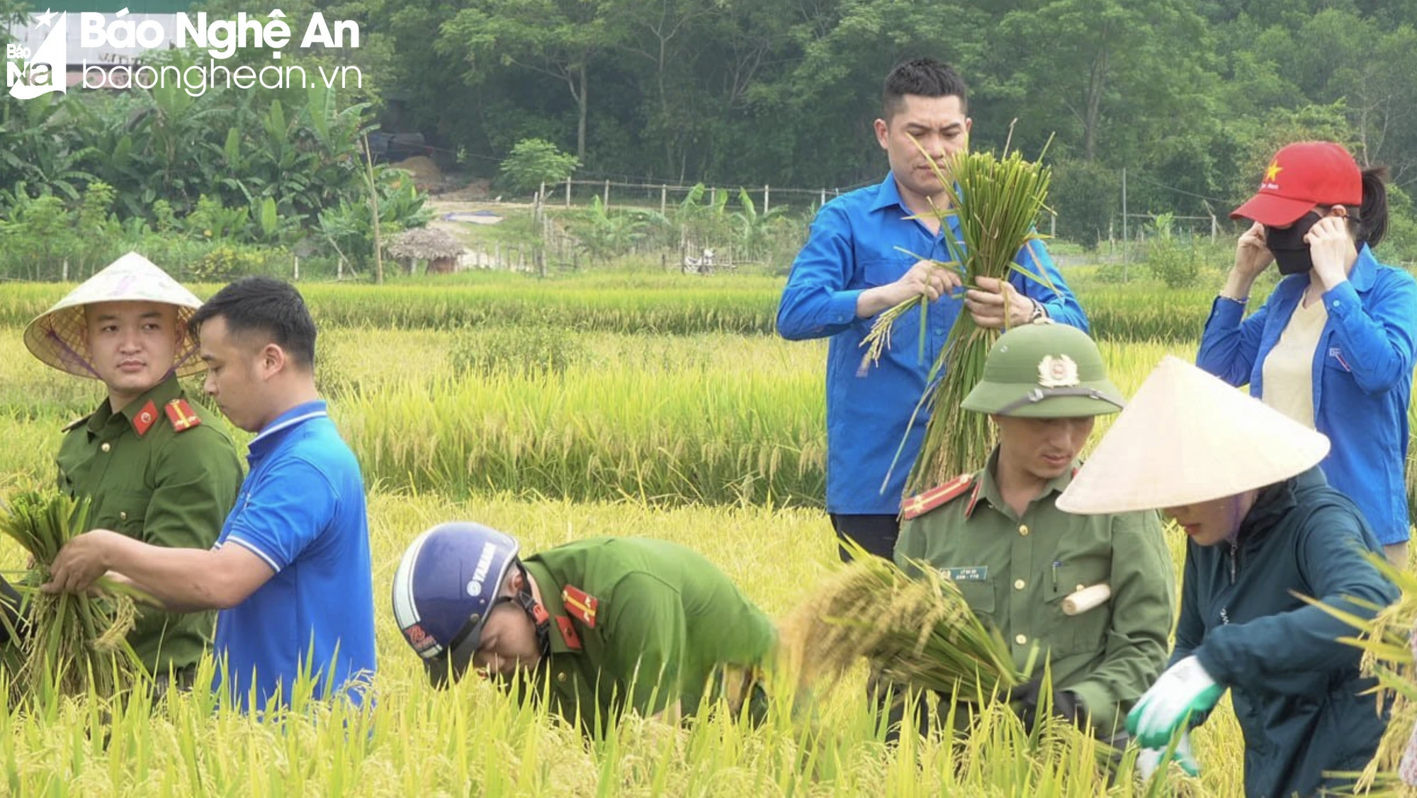 Ảnh màn hình 2024-05-17 lúc 10.05.38.png