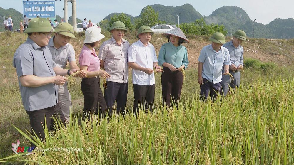 Phó Chủ tịch UBND tỉnh Nguyễn Văn Đệ cùng đoàn kiểm tra công tác phòng chống bão tại huyện Tân Kỳ.