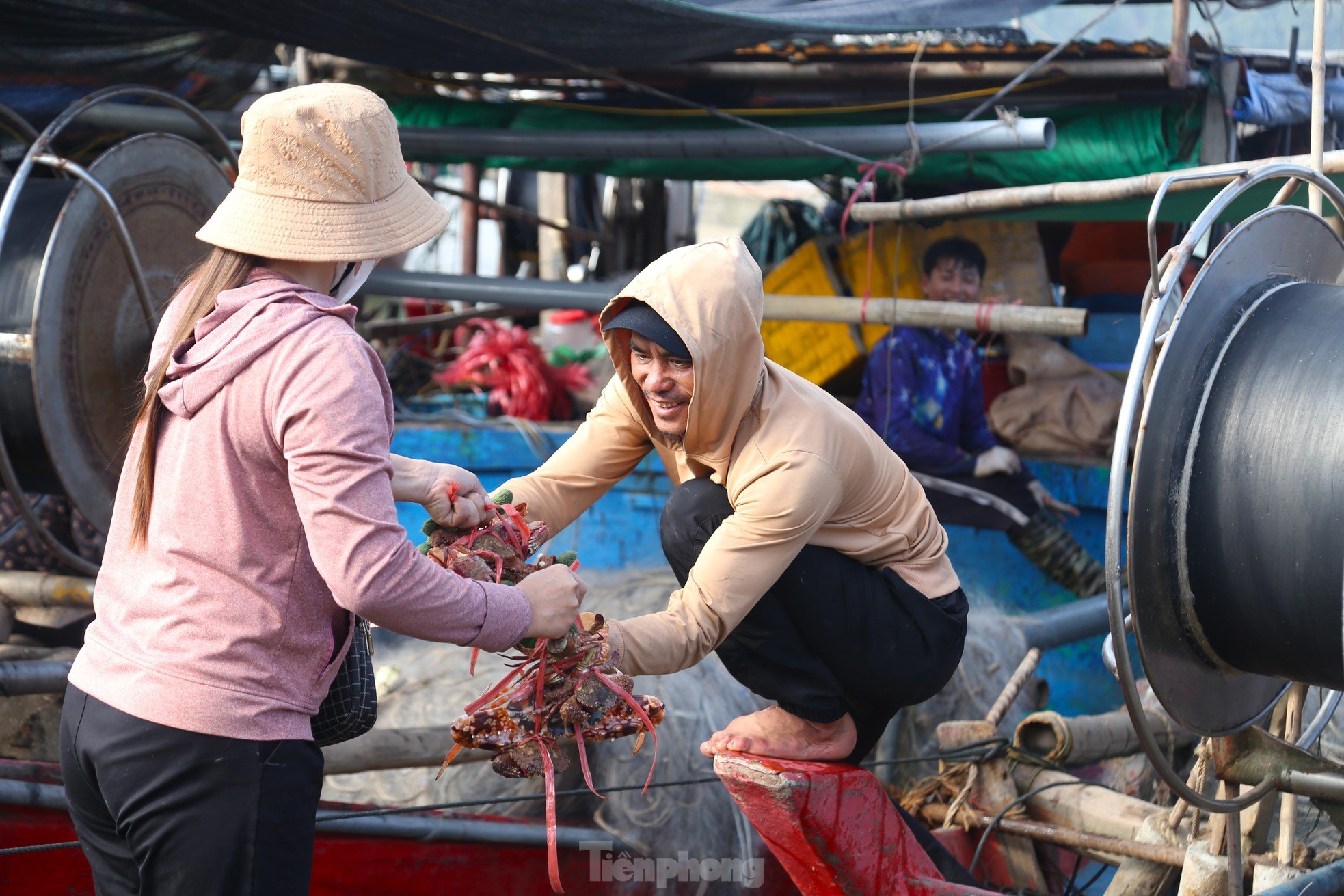 Giăng lưới săn ghẹ, ngư dân kiếm tiền triệu mỗi ngày ảnh 4