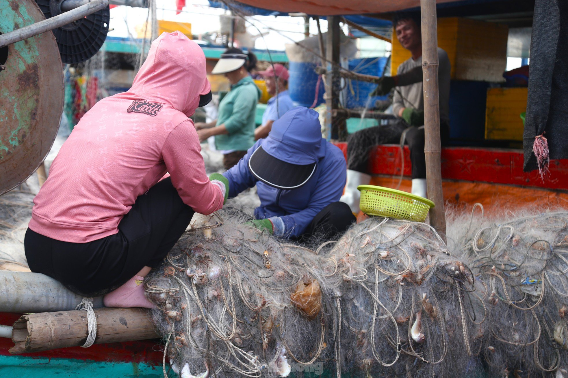 Giăng lưới săn ghẹ, ngư dân kiếm tiền triệu mỗi ngày ảnh 5