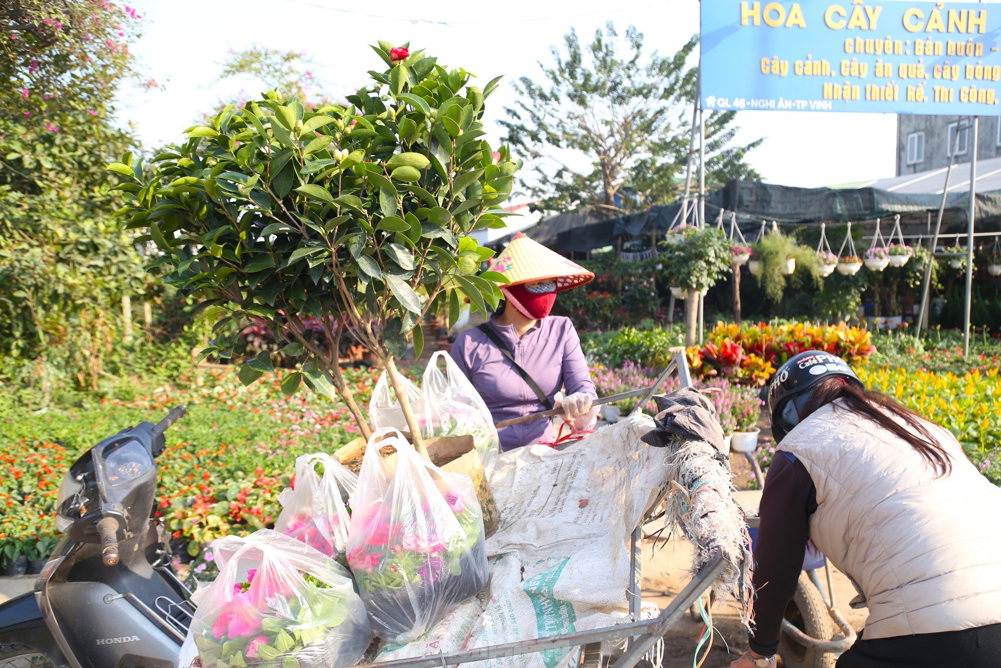 Mưu sinh ở làng hoa mong Tết ấm ảnh 8