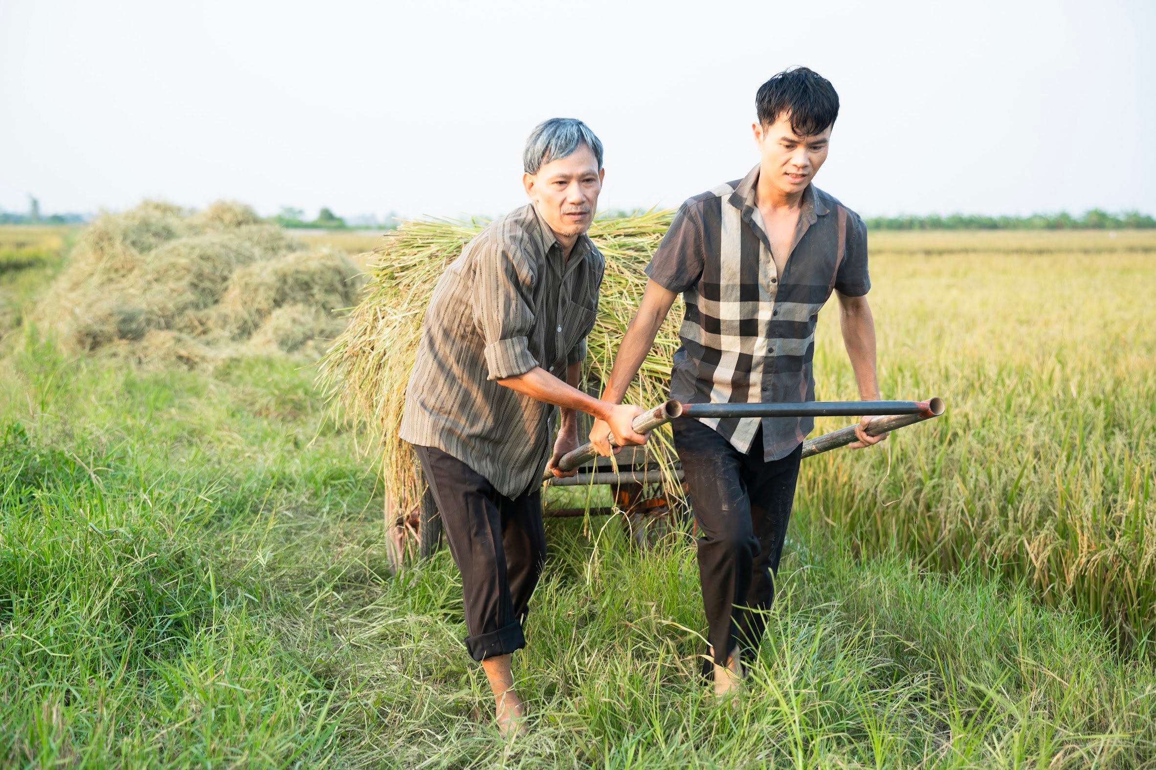 Lê Vĩnh Toàn - Gian nan hành trình từ cậu bé vác đồ thành ca sĩ chuyên nghiệp- Ảnh 2.