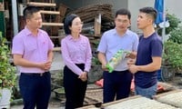 Anh Tuấn (ngoài cùng bên phải) giới thiệu mô hình phát triển cao khô Chợ Bãi. 